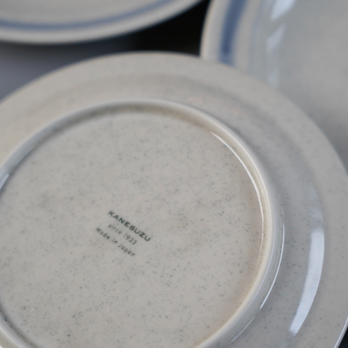 Bistro Plate Blue Line