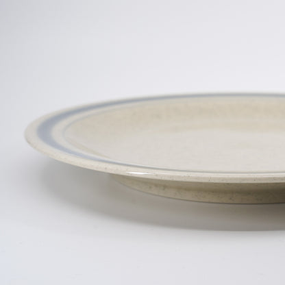 비스트로 플레이트 블루 라인 